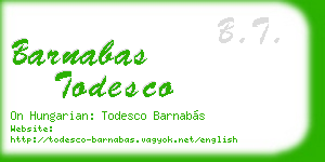 barnabas todesco business card